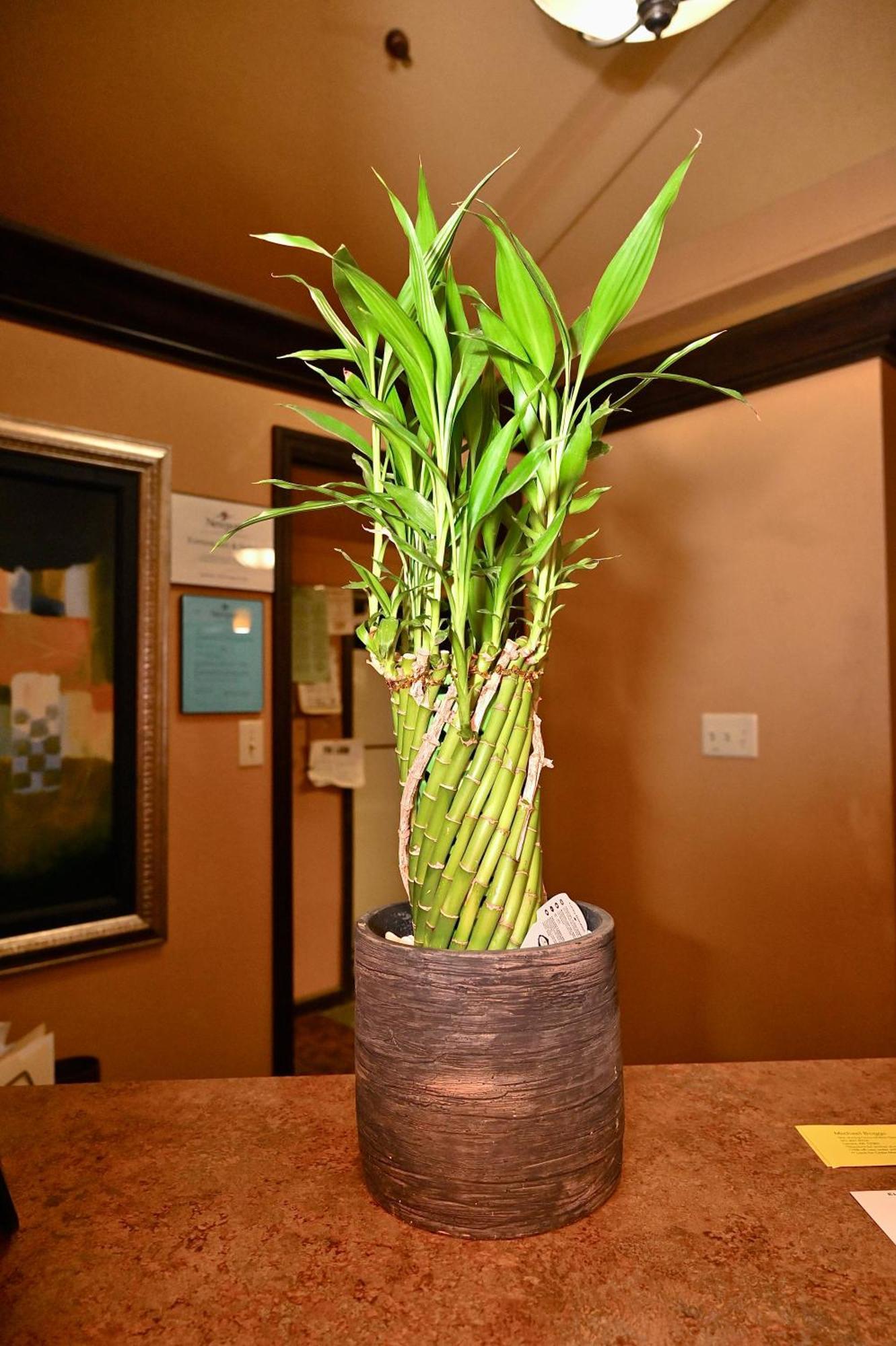 Fortune Inn & Suites Newport 外观 照片